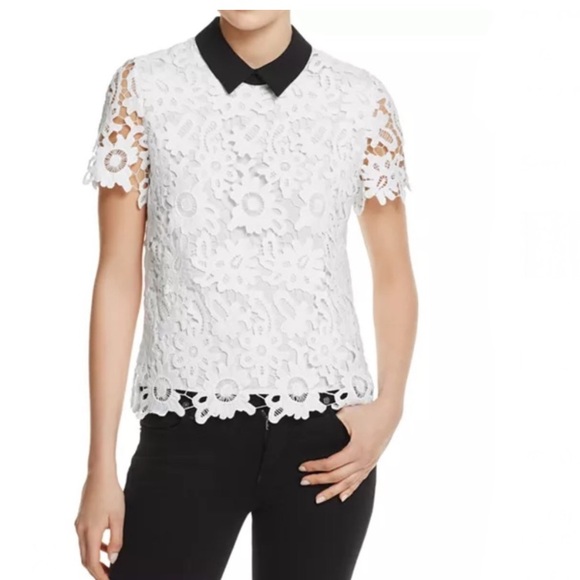 Aqua Tops - Aqua Short Sleeve Lace Top